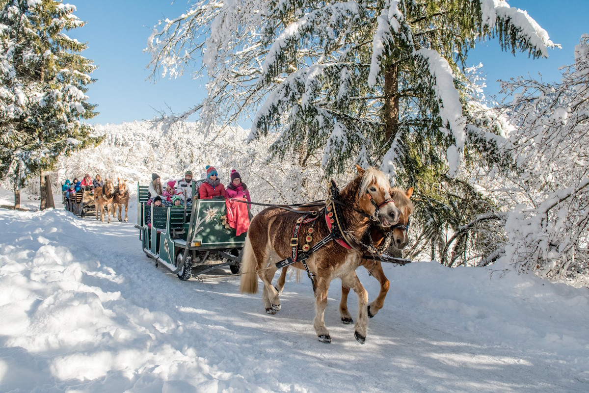 2017_PHMatteoDeStefano_Andalo_bambini_montagna_family_equitazione_cavalli_carrozza_pony_parco_Life_Dolomiti_Paganella_Trentino_neve_inverno_137.jpg